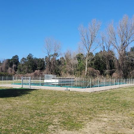 Trilocale Nr 8 Apartamento Calambrone Exterior foto